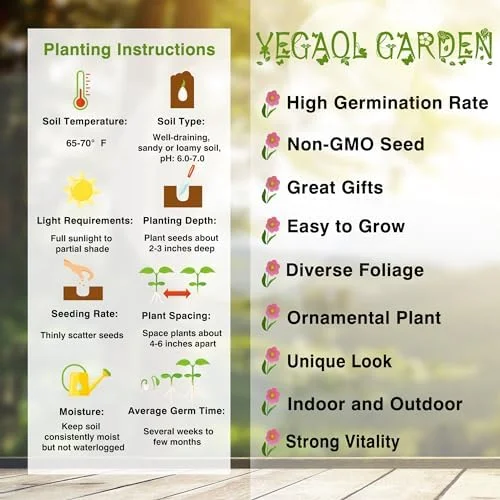 Autumn Crocus Seeds 100Pcs Pink Purple Cup-Shaped Flowers Colchicum Autumnale