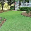 Zoysia Grass Seeds Warm-Season, Dense Carpet-Like Growth, Fine Texture, Durable Lawn & Landscape Applications, 1/8 lb, Brown, GMO Free