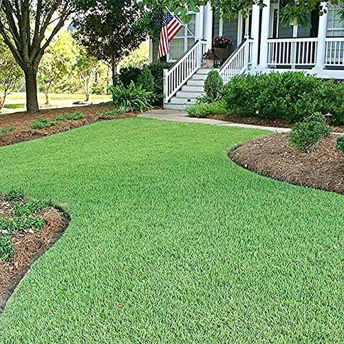 Zoysia Grass Seeds Warm-Season, Dense Carpet-Like Growth, Fine Texture, Durable Lawn & Landscape Applications, 1/8 lb, Brown, GMO Free